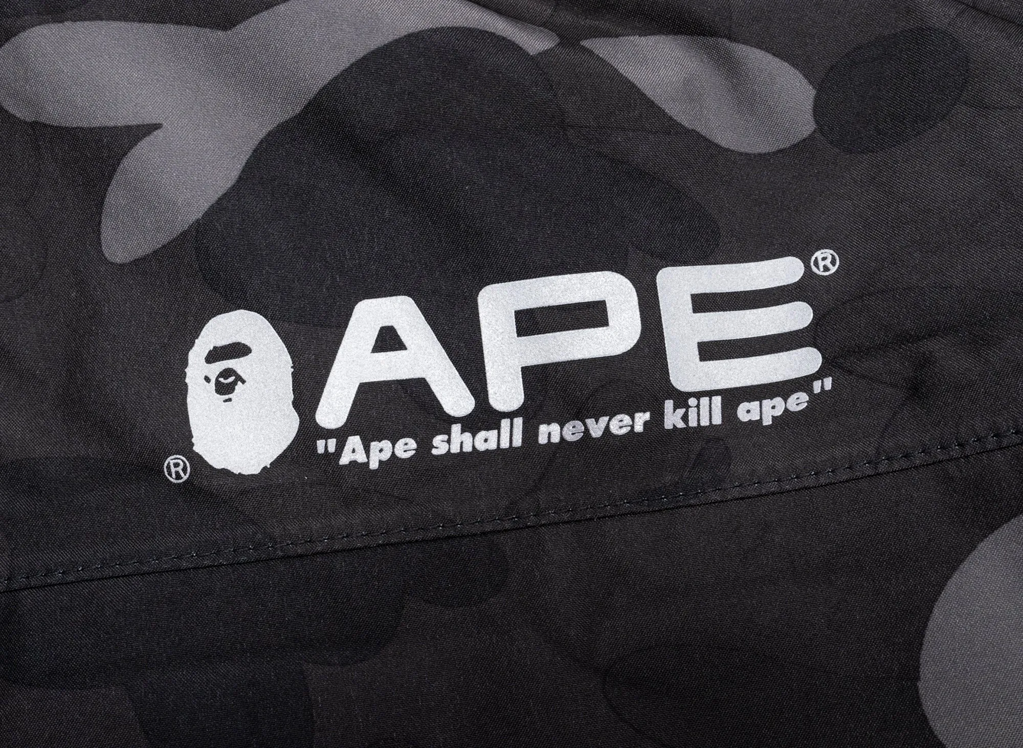 A Bathing Ape Gore-Tex Color Camo Shell Jacket xld