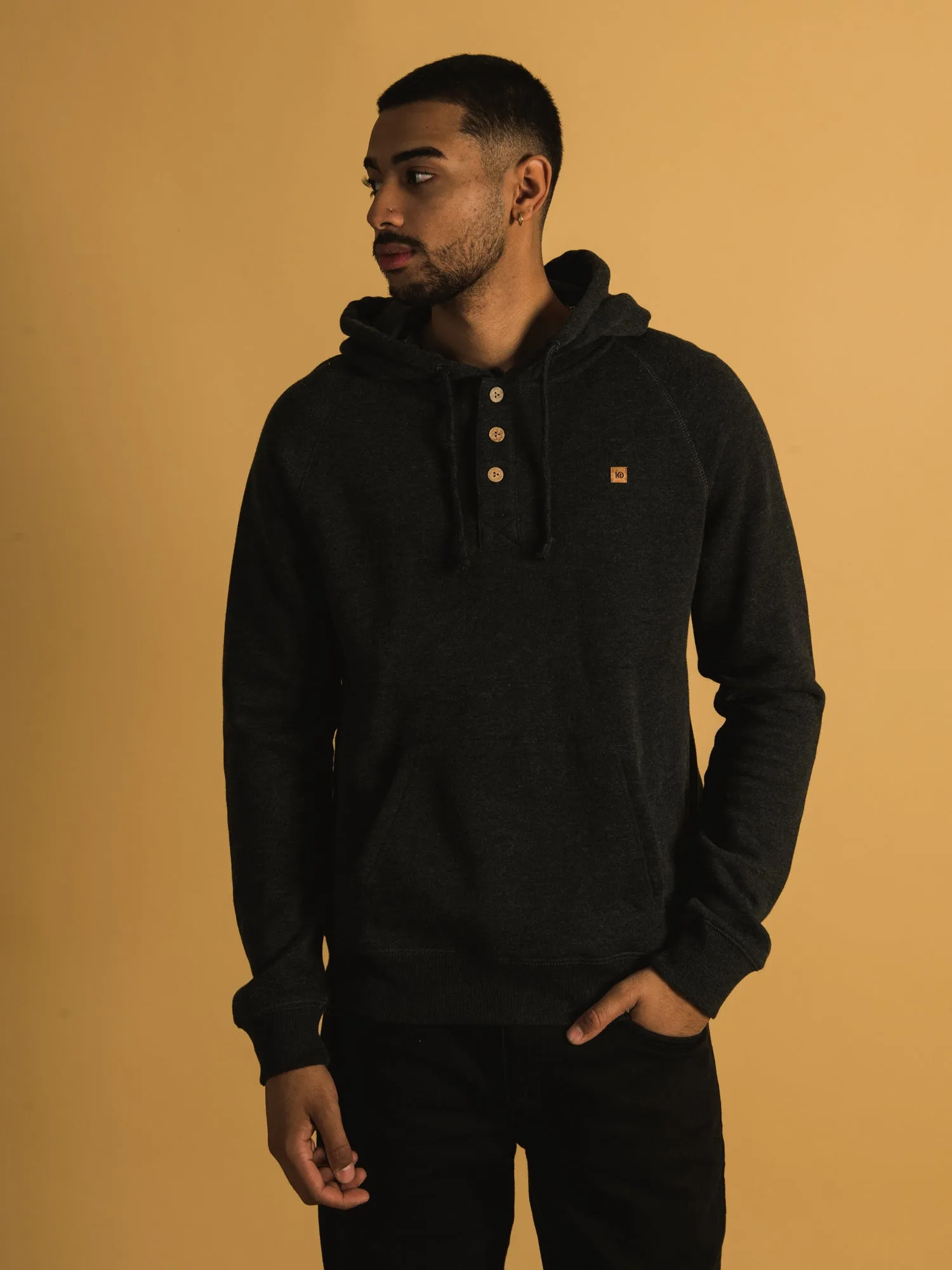 TENTREE OBERON PULLOVER HOODIE